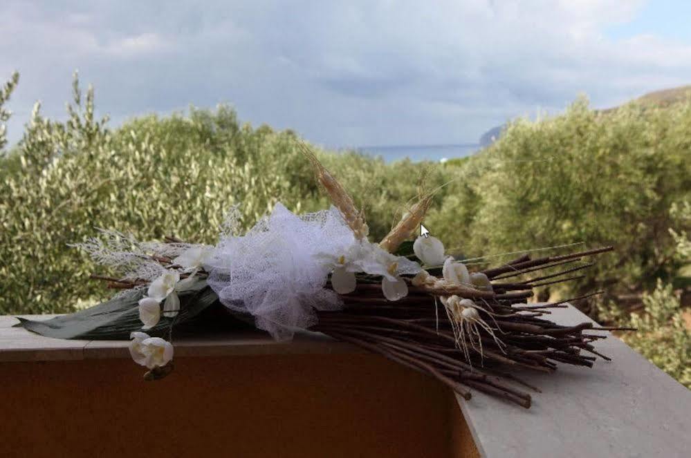 Residence Blue Pearl Camerota Εξωτερικό φωτογραφία